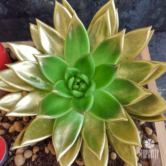 Композиция № 29