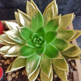 Композиция № 29