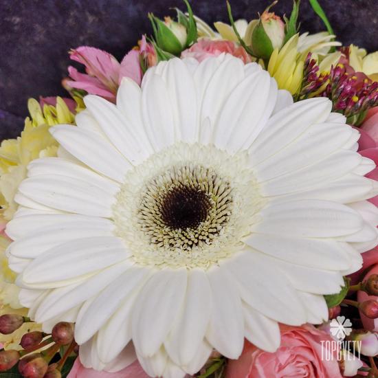 Букет из гербер, роз и орхидей в коробке