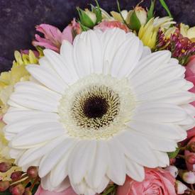 Букет из гербер, роз и орхидей в коробке