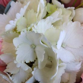 Букет из роз, гвоздик и гортензий в кашпо 