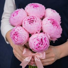 Букет из 9 нежно-розовых пионов Сара Бернар