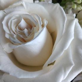 Букет из хризантем, роз и сирени