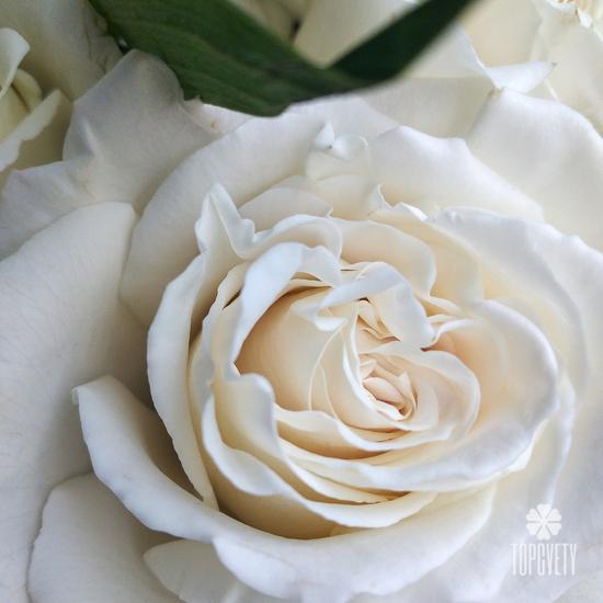 Букет из хризантем, роз и сирени