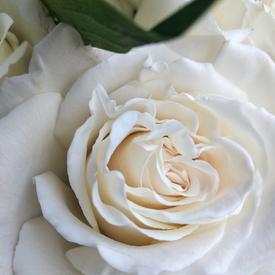 Букет из хризантем, роз и сирени