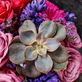 Букет из роз, гербер, гиацинтов и суккулента