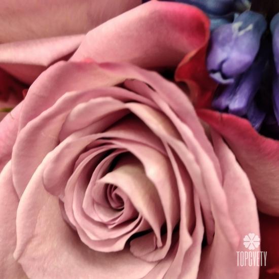 Букет из роз, гербер, гиацинтов и суккулента