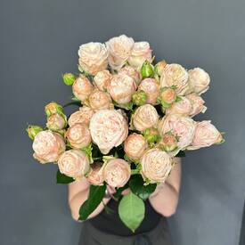 	Букет из 9 кустовых пионовидных роз 50см