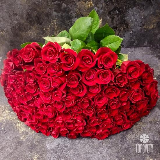Букет из 101 красной розы Фридом 70см