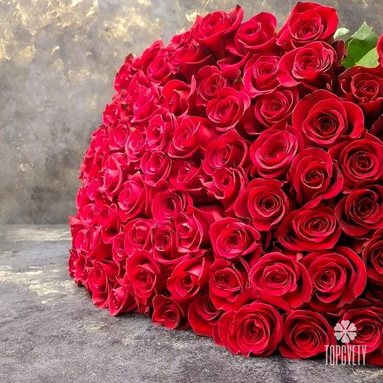 Букет из 101 красной розы Фридом 70см