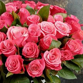 Букет из 51 розовой розы в коробке