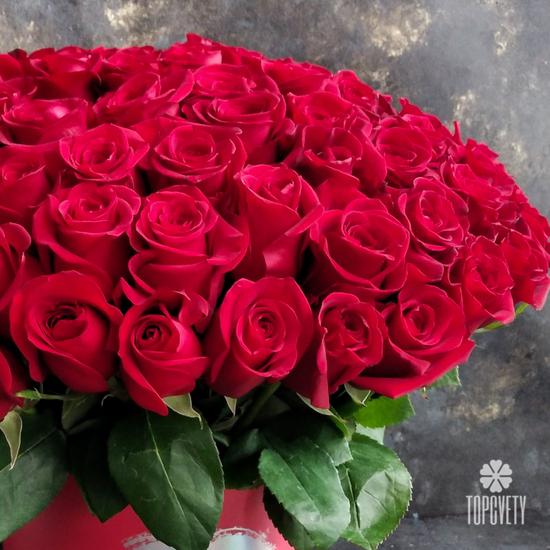 Букет из 51 красной розы Фридом в коробке 