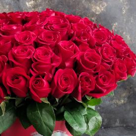 Букет из 51 красной розы Фридом в коробке 