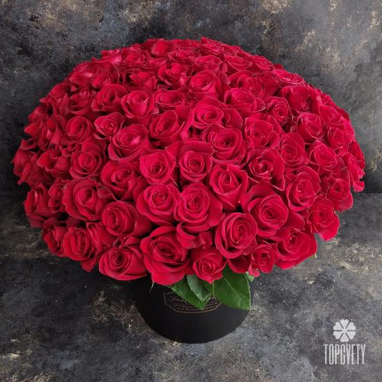 Букет из 101 красной розы Фридом в коробке