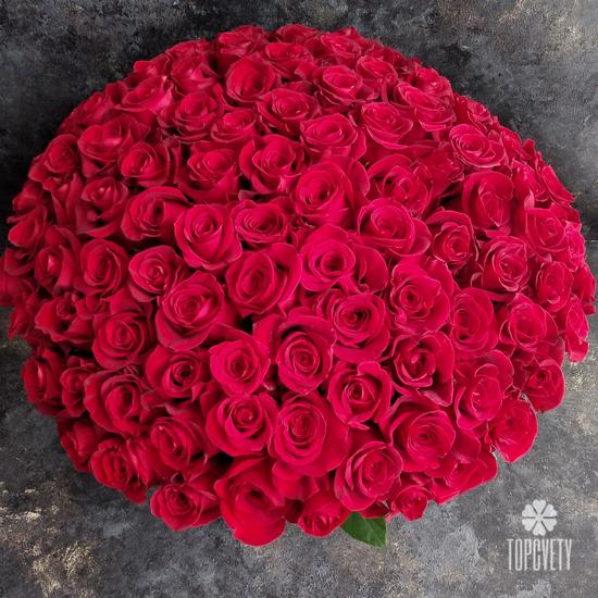 Букет из 101 красной розы Фридом в коробке