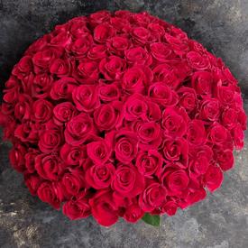 Букет из 101 красной розы Фридом в коробке