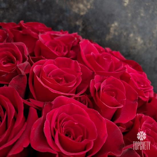 Букет из 101 красной розы Фридом в коробке