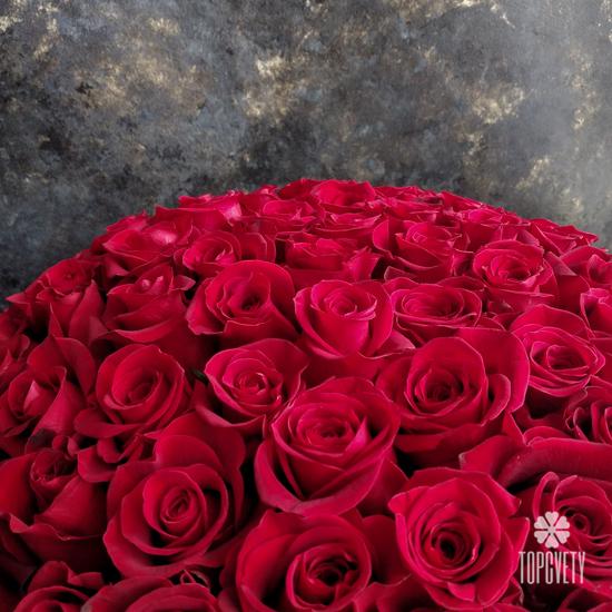 Букет из 101 красной розы Фридом в коробке