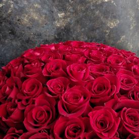 Букет из 101 красной розы Фридом в коробке