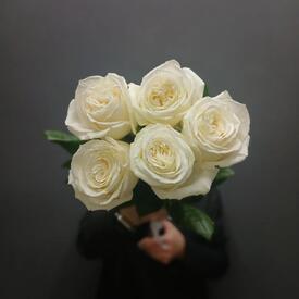 Букет из 5 роз Плайя Бланка 50см