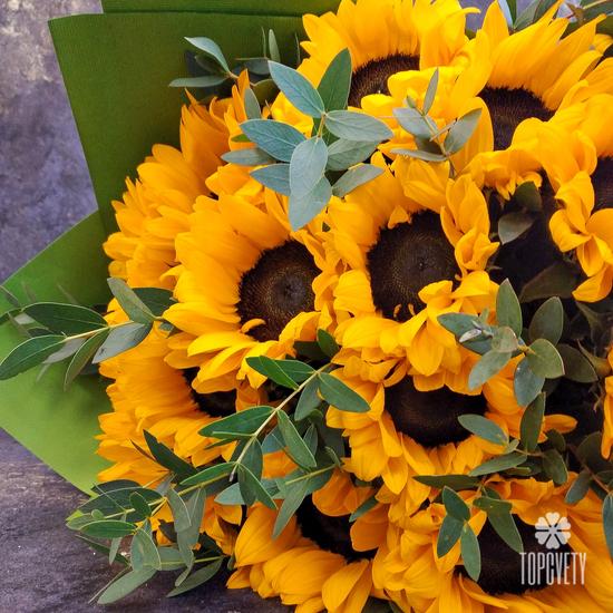 Букет из 15 подсолнухов
