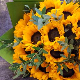 Букет из 15 подсолнухов