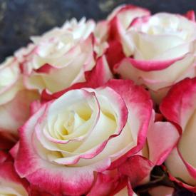 Букет из 31 бело-розовой розы в коробке