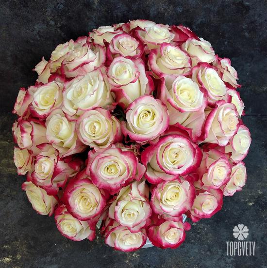 Букет из 31 бело-розовой розы в коробке