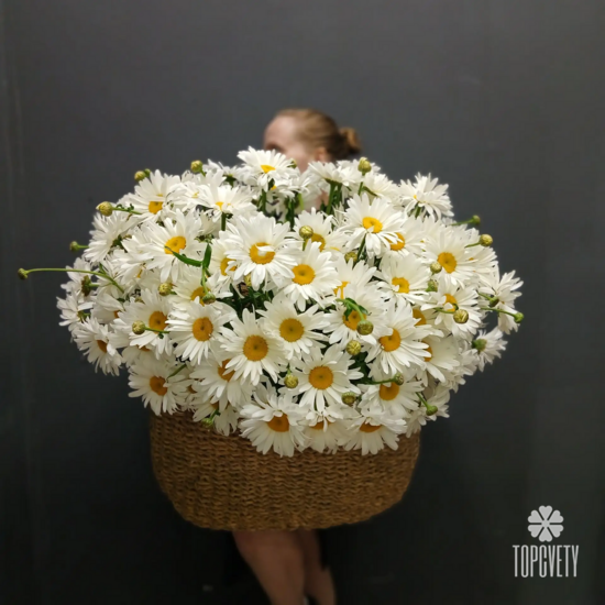 Композиция из 125 ромашек в корзине