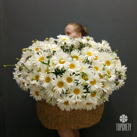 Композиция из 125 ромашек в корзине