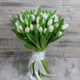 Букет из 31 белого тюльпана 