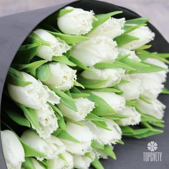 Букет из 45 белых тюльпанов 