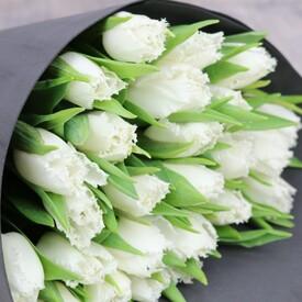 Букет из 45 белых тюльпанов 