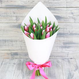 Букет из 25 бело-розовых тюльпанов 