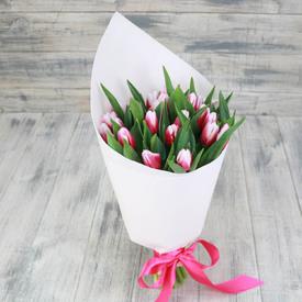 Букет из 25 бело-розовых тюльпанов 