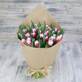 Букет из 45 бело-розовых тюльпанов 