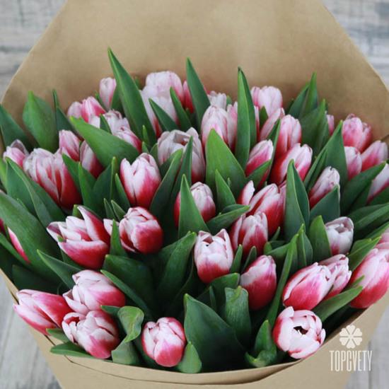 Букет из 45 бело-розовых тюльпанов 