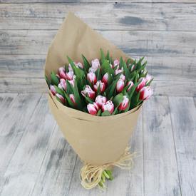 Букет из 45 бело-розовых тюльпанов 