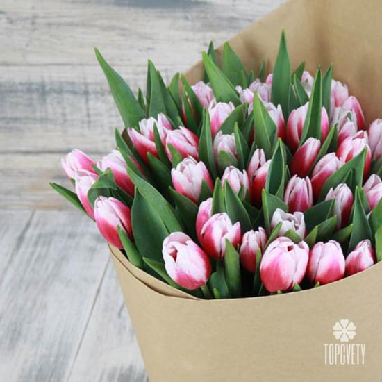 Букет из 45 бело-розовых тюльпанов 