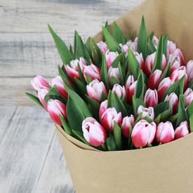Букет из 45 бело-розовых тюльпанов 