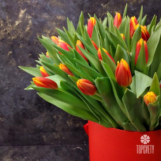 Букет из 101 желто-красного тюльпана в коробке 