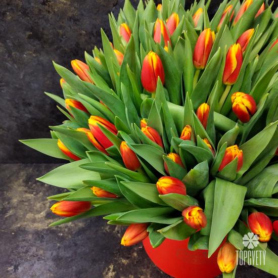 Букет из 101 желто-красного тюльпана в коробке 