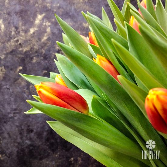 Букет из 101 желто-красного тюльпана в коробке 