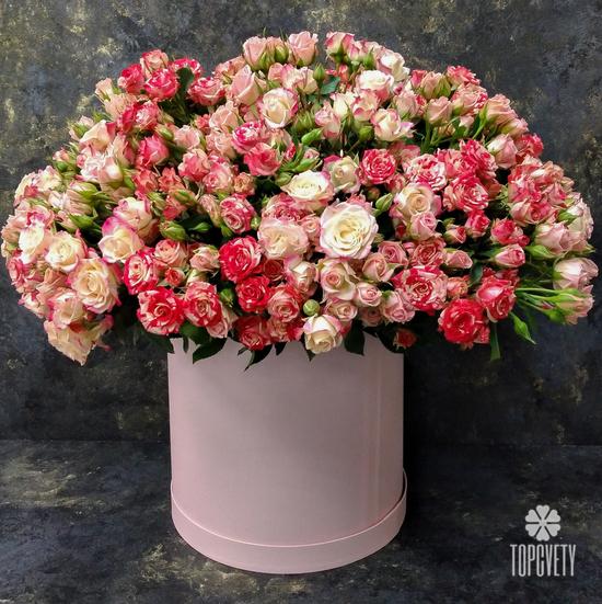 Композиция из 75 кустовых роз в коробке