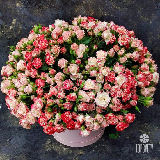 Композиция из 75 кустовых роз в коробке
