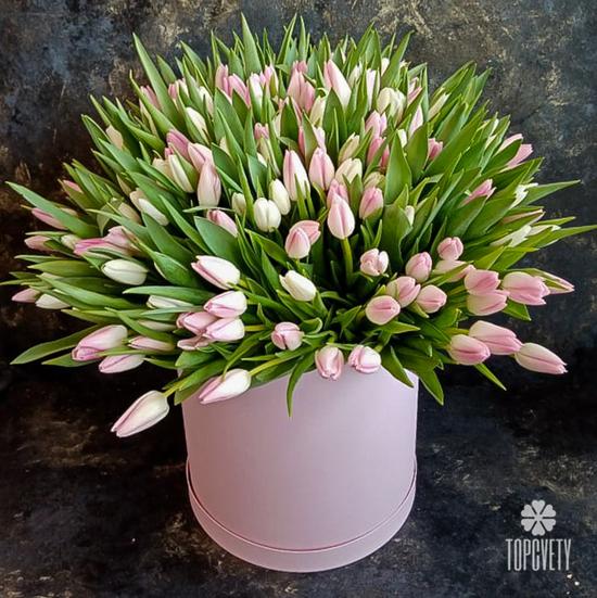 Букет из 101 розового тюльпана в коробке 