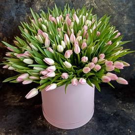 Букет из 101 розового тюльпана в коробке 