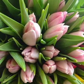 Букет из 101 розового тюльпана в коробке 