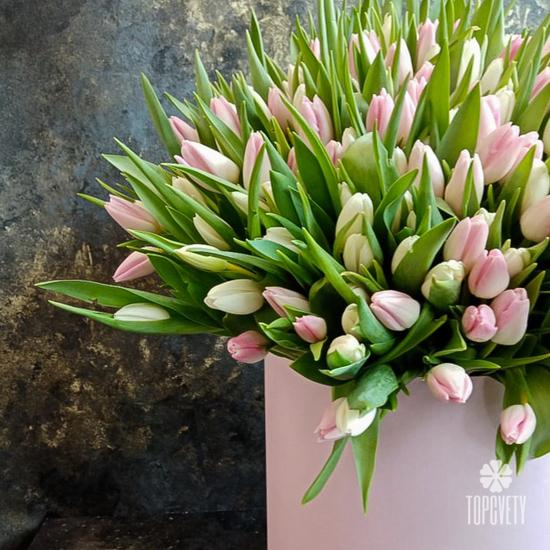 Букет из 101 розового тюльпана в коробке 