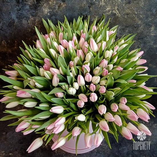 Букет из 101 розового тюльпана в коробке 